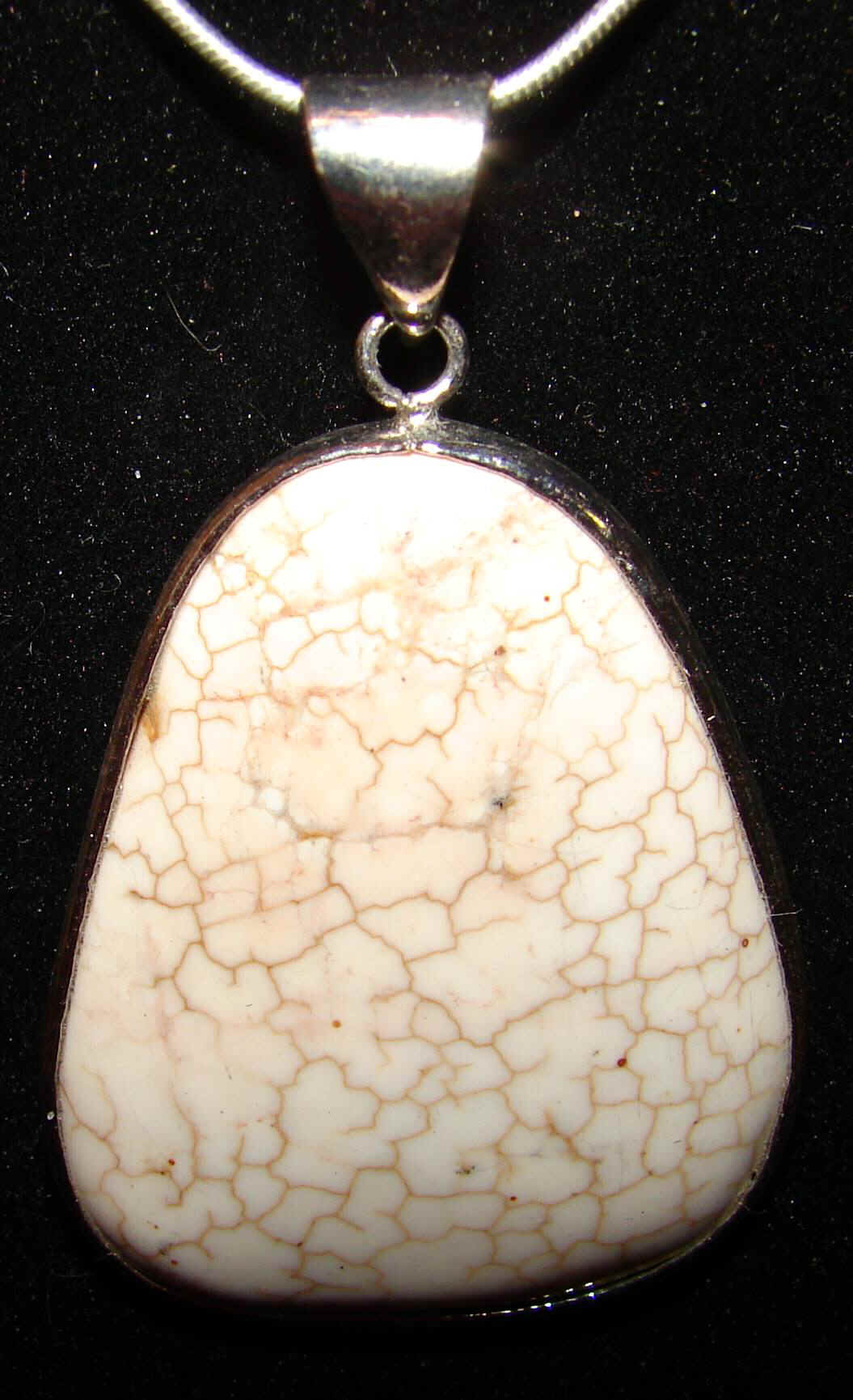 nuturqneck-5.jpg (25655 bytes)
